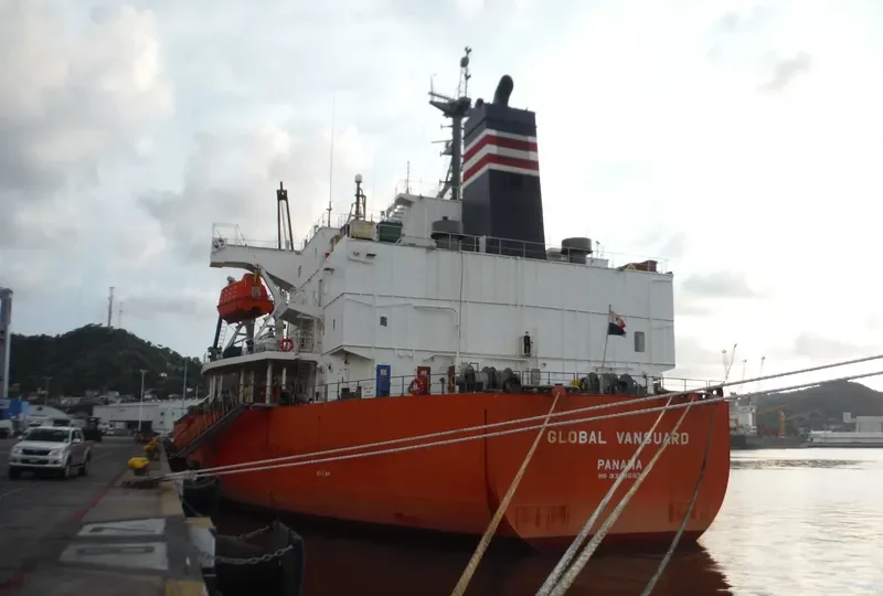 RIVER PEARL Bulk Carrier IMO 9363663 photo 5