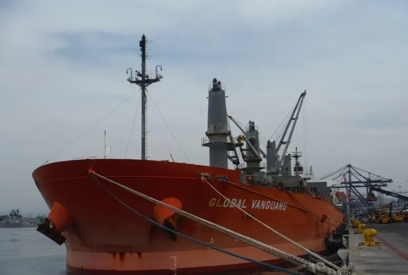 RIVER PEARL Bulk Carrier IMO 9363663 photo 6