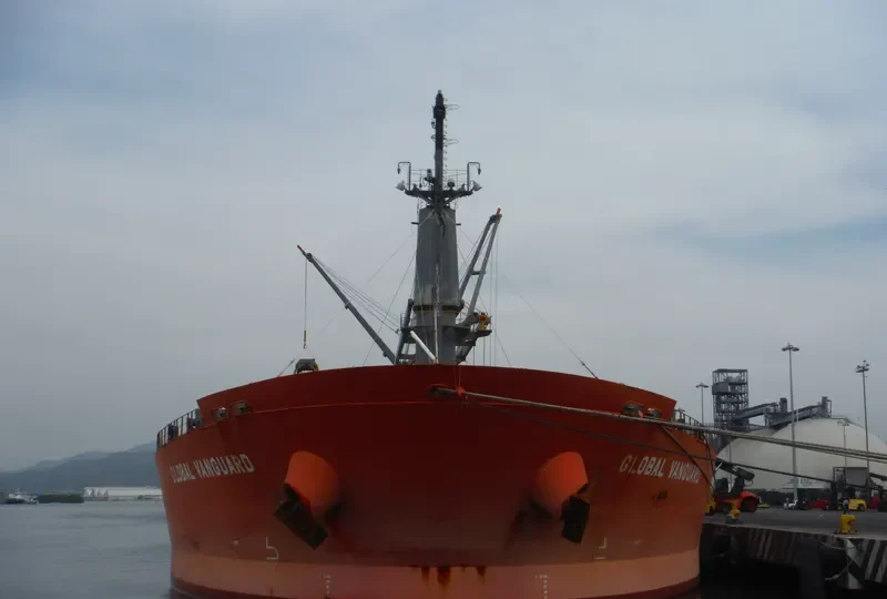 RIVER PEARL Bulk Carrier IMO 9363663 photo 7