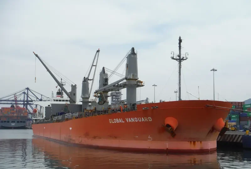 RIVER PEARL Bulk Carrier IMO 9363663 photo 8