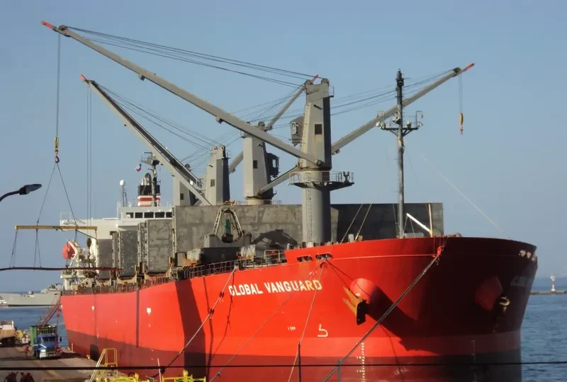 RIVER PEARL Bulk Carrier IMO 9363663 photo 10