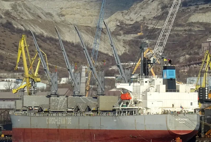 DELOS DAWN Bulk Carrier IMO 9363675