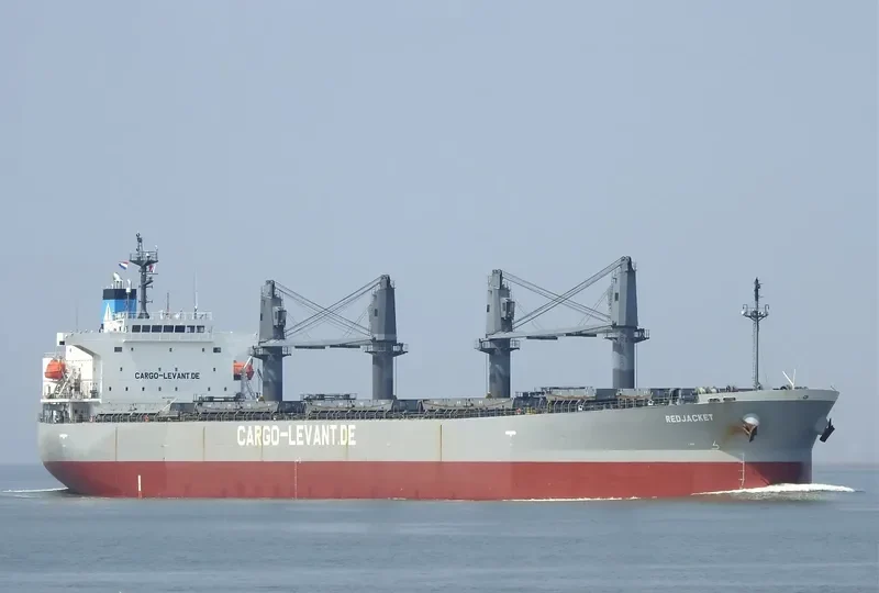 DELOS DAWN Bulk Carrier IMO 9363675 photo 3