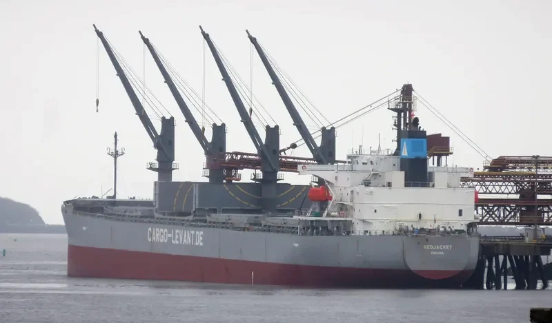 DELOS DAWN Bulk Carrier IMO 9363675 photo 4