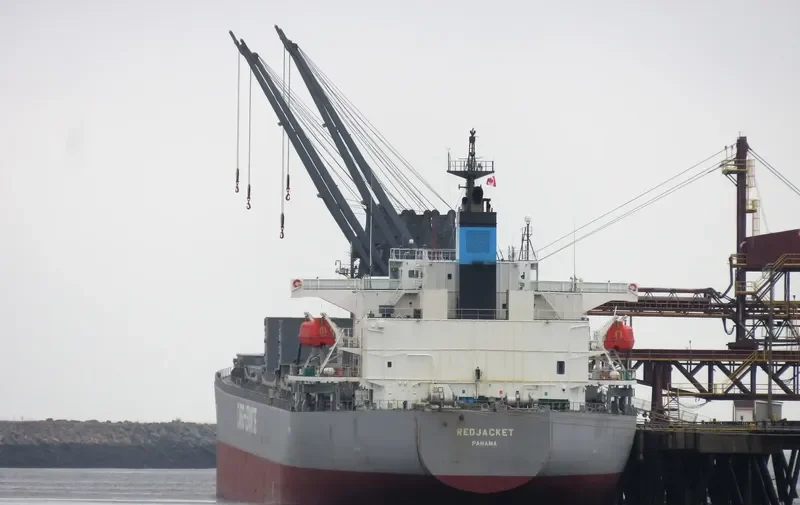 DELOS DAWN Bulk Carrier IMO 9363675 photo 5