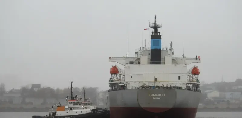DELOS DAWN Bulk Carrier IMO 9363675 photo 7