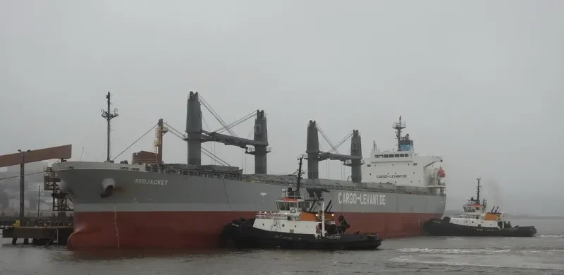 DELOS DAWN Bulk Carrier IMO 9363675 photo 8
