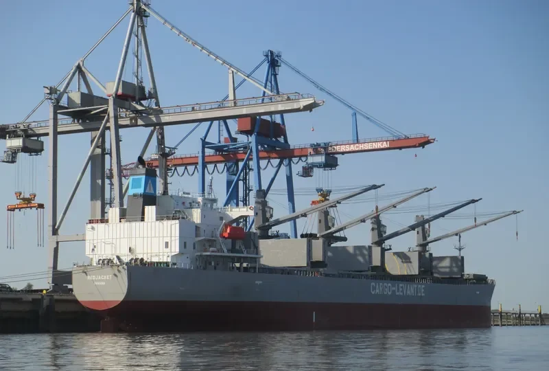 DELOS DAWN Bulk Carrier IMO 9363675 photo 9