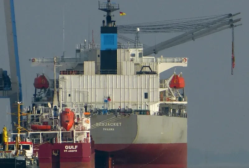 DELOS DAWN Bulk Carrier IMO 9363675 photo 10