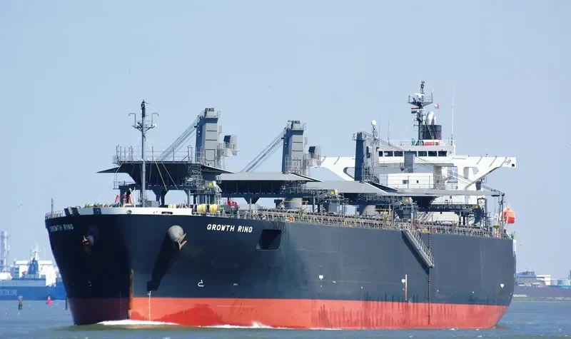 GROWTH RING Bulk Carrier IMO 9363687