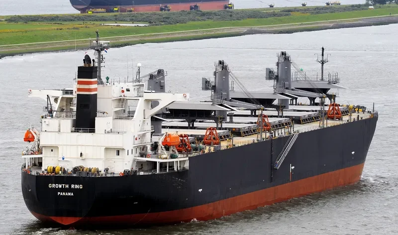 GROWTH RING Bulk Carrier IMO 9363687 photo 3