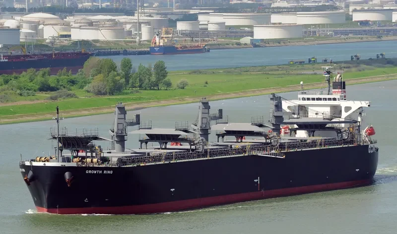 GROWTH RING Bulk Carrier IMO 9363687 photo 4