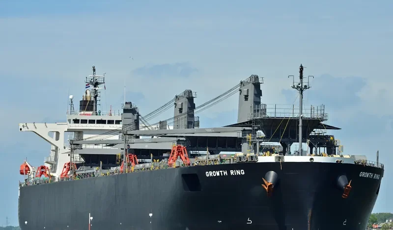 GROWTH RING Bulk Carrier IMO 9363687 photo 5