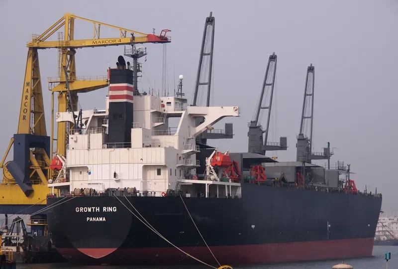 GROWTH RING Bulk Carrier IMO 9363687 photo 6