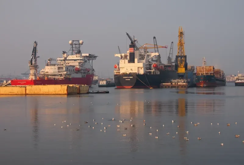 GROWTH RING Bulk Carrier IMO 9363687 photo 7
