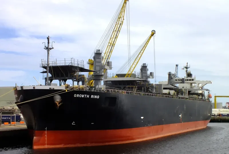 GROWTH RING Bulk Carrier IMO 9363687 photo 9