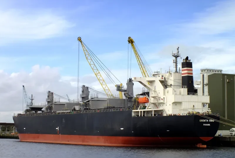 GROWTH RING Bulk Carrier IMO 9363687 photo 10
