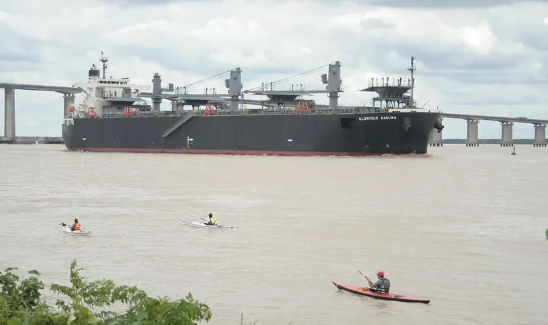 GLORIOUS SAKURA Bulk Carrier IMO 9363699