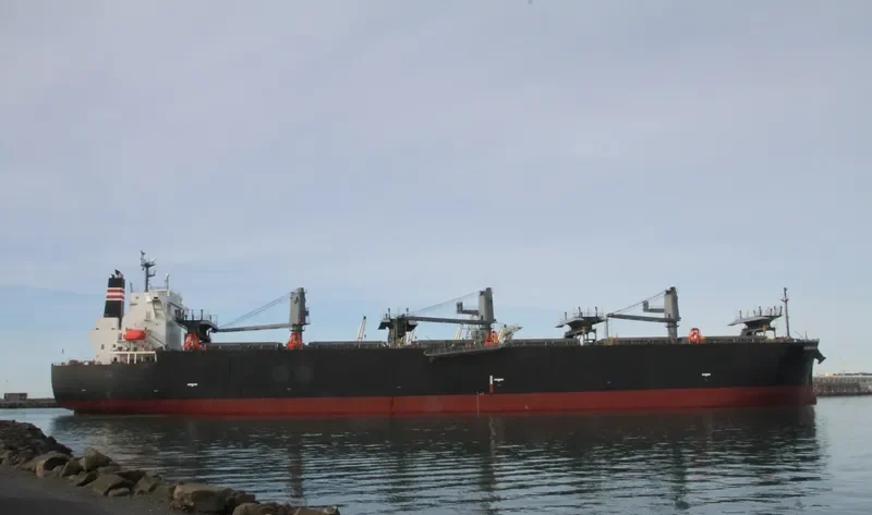 GLORIOUS SAKURA Bulk Carrier IMO 9363699 photo 2