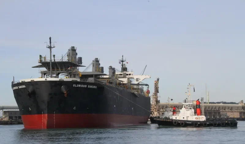 GLORIOUS SAKURA Bulk Carrier IMO 9363699 photo 3