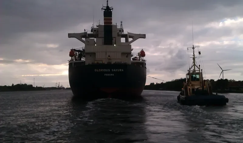 GLORIOUS SAKURA Bulk Carrier IMO 9363699 photo 5