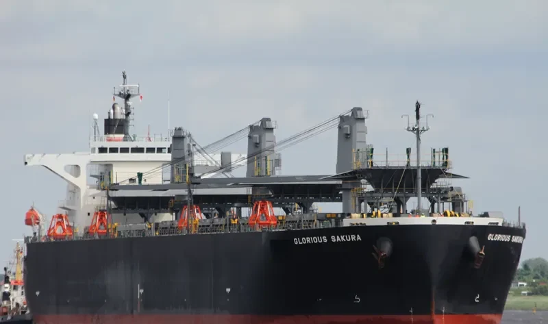 GLORIOUS SAKURA Bulk Carrier IMO 9363699 photo 6