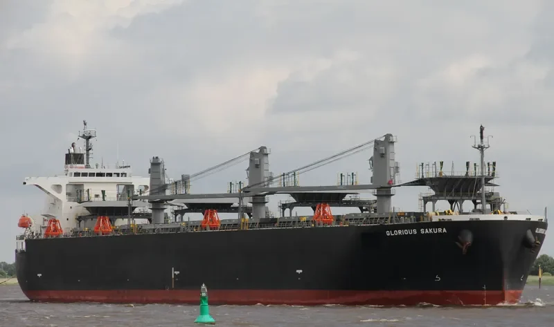 GLORIOUS SAKURA Bulk Carrier IMO 9363699 photo 7