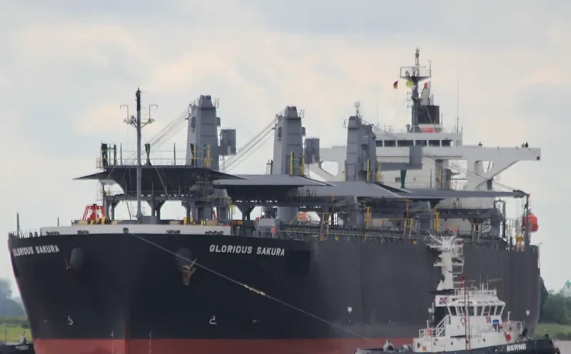 GLORIOUS SAKURA Bulk Carrier IMO 9363699 photo 9