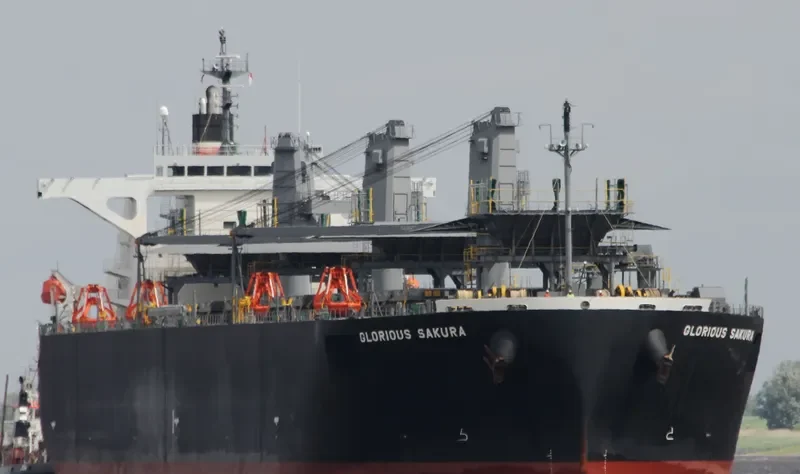 GLORIOUS SAKURA Bulk Carrier IMO 9363699 photo 10