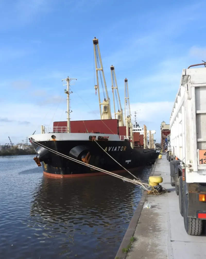 AVIATOR Bulk Carrier IMO 9363754