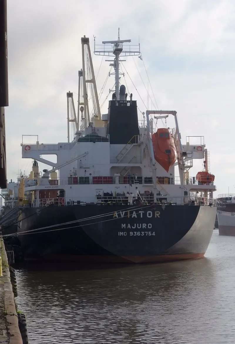 AVIATOR Bulk Carrier IMO 9363754 photo 2