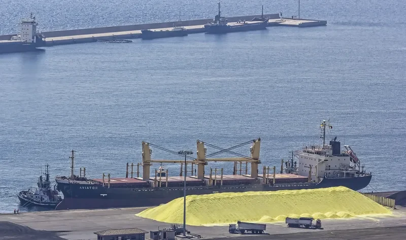 AVIATOR Bulk Carrier IMO 9363754 photo 3