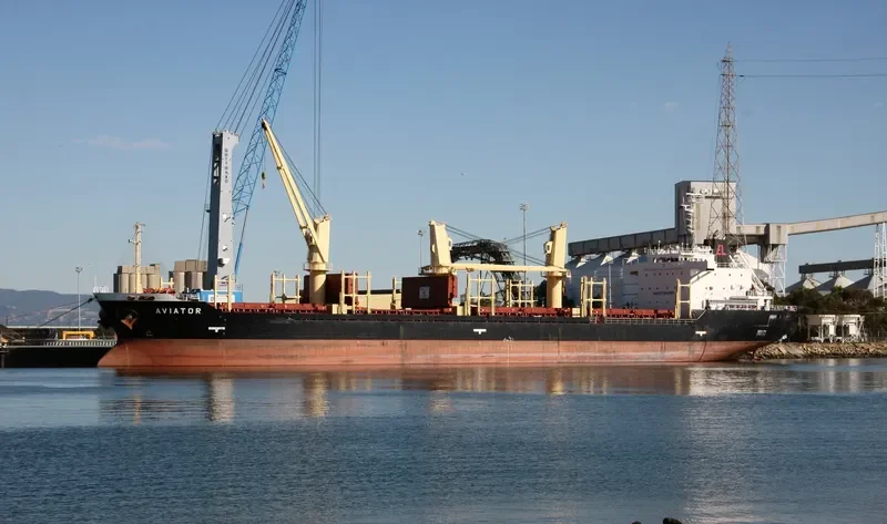 AVIATOR Bulk Carrier IMO 9363754 photo 4