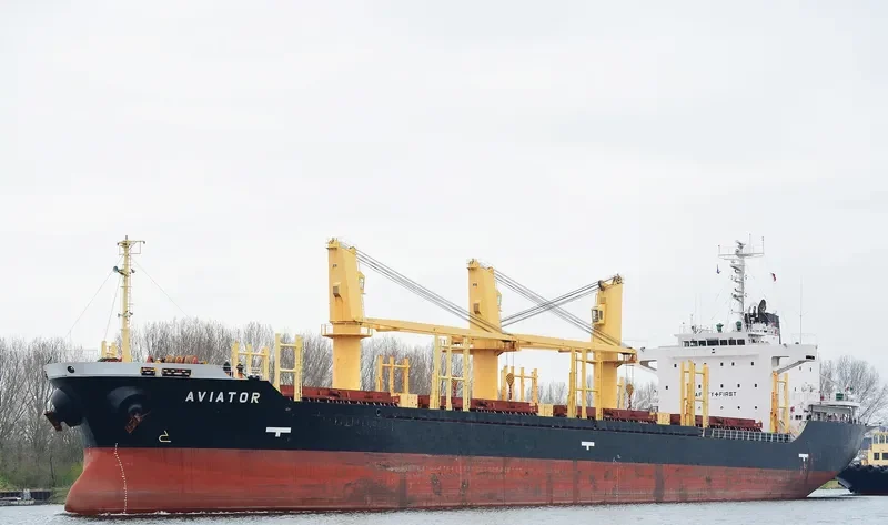 AVIATOR Bulk Carrier IMO 9363754 photo 8