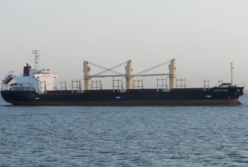 AVIATOR Bulk Carrier IMO 9363754 photo 10