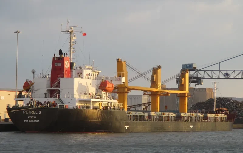 PETREL S Bulk Carrier IMO 9363883