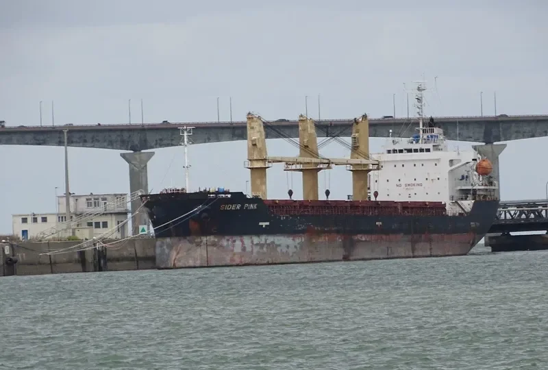PETREL S Bulk Carrier IMO 9363883 photo 2