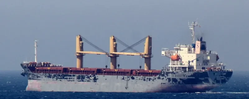 PETREL S Bulk Carrier IMO 9363883 photo 3