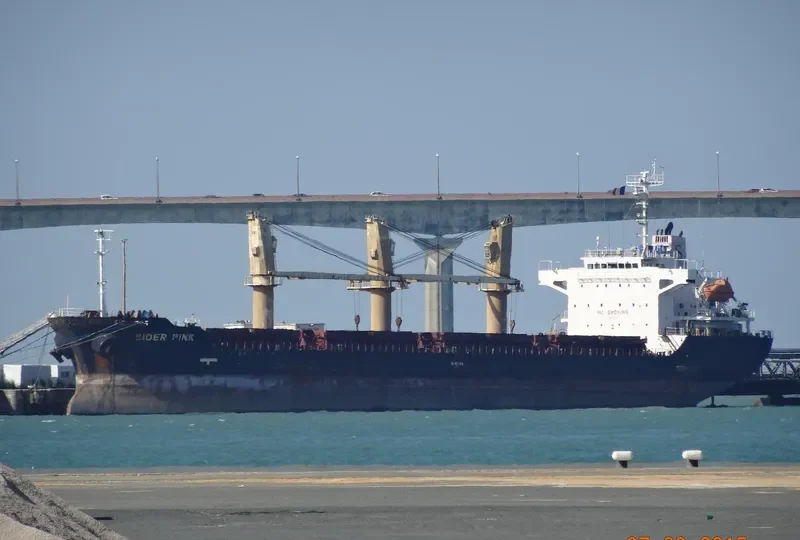 PETREL S Bulk Carrier IMO 9363883 photo 4