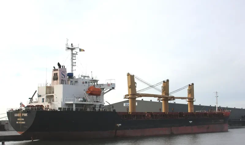 PETREL S Bulk Carrier IMO 9363883 photo 5