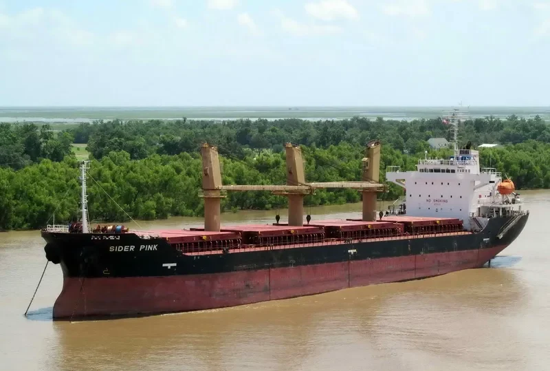 PETREL S Bulk Carrier IMO 9363883 photo 6
