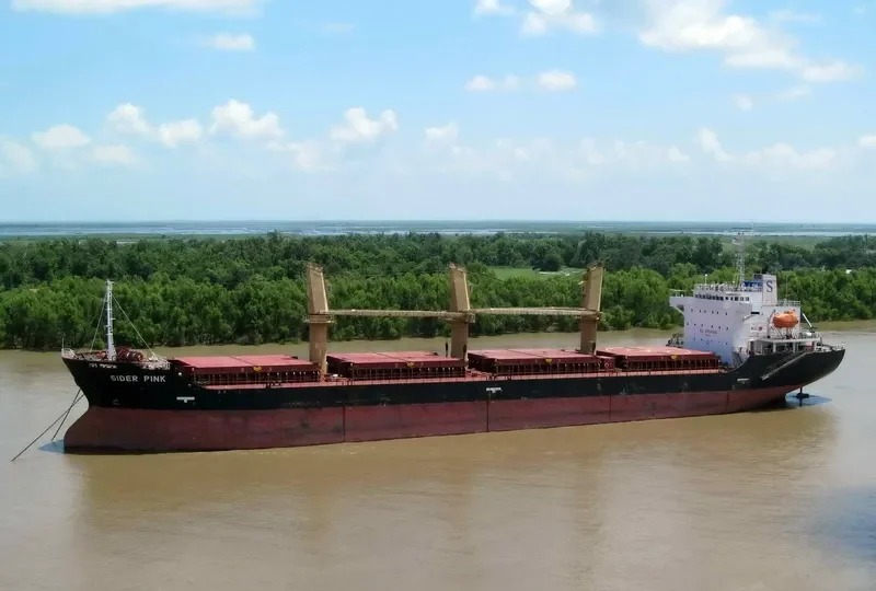 PETREL S Bulk Carrier IMO 9363883 photo 7