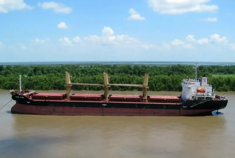 PETREL S Bulk Carrier IMO 9363883 photo 8