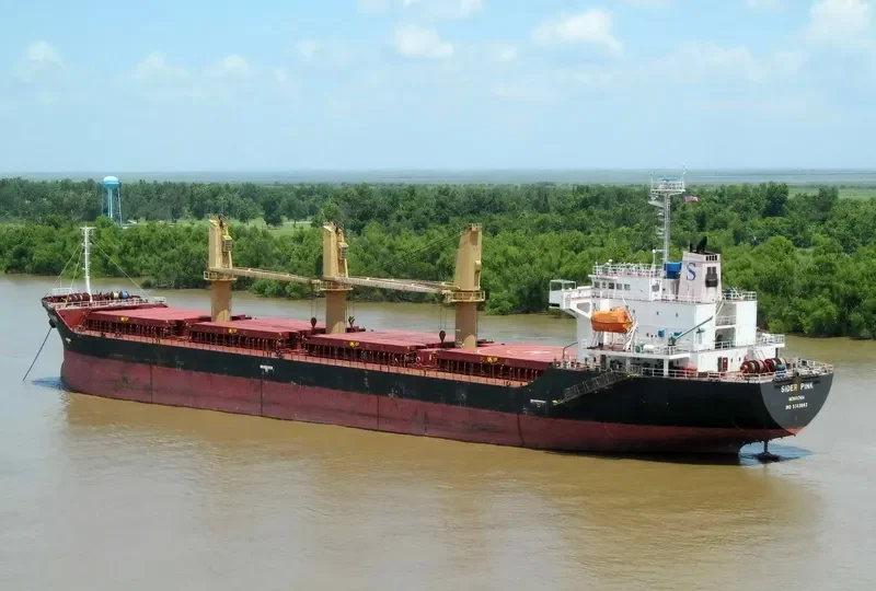 PETREL S Bulk Carrier IMO 9363883 photo 9