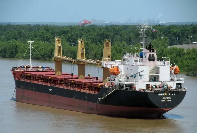 PETREL S Bulk Carrier IMO 9363883 photo 10
