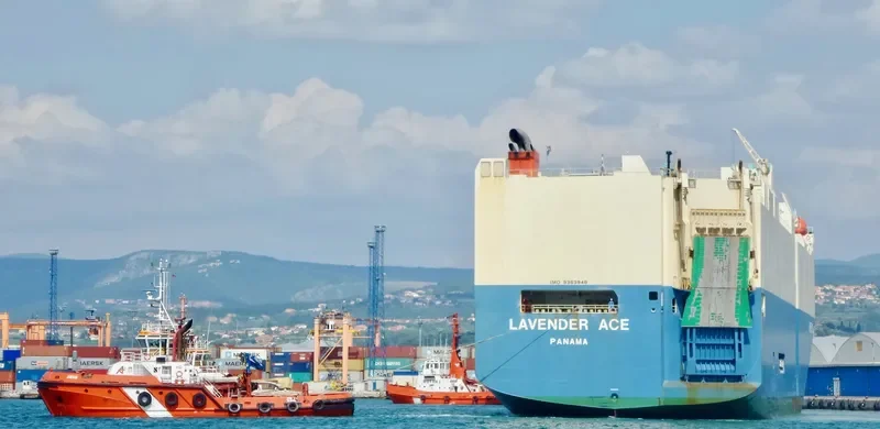 LAVENDER ACE General Cargo IMO 9363948 photo 5