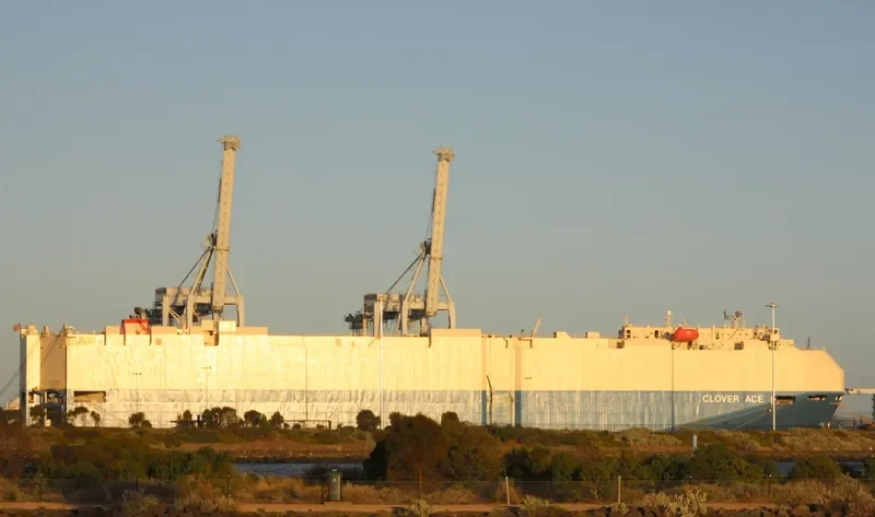 CLOVER ACE General Cargo IMO 9363950 photo 7