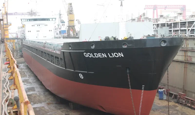 GOLDEN LION General Cargo IMO 9363974