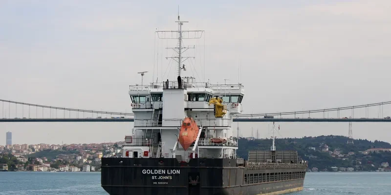 GOLDEN LION General Cargo IMO 9363974 photo 2