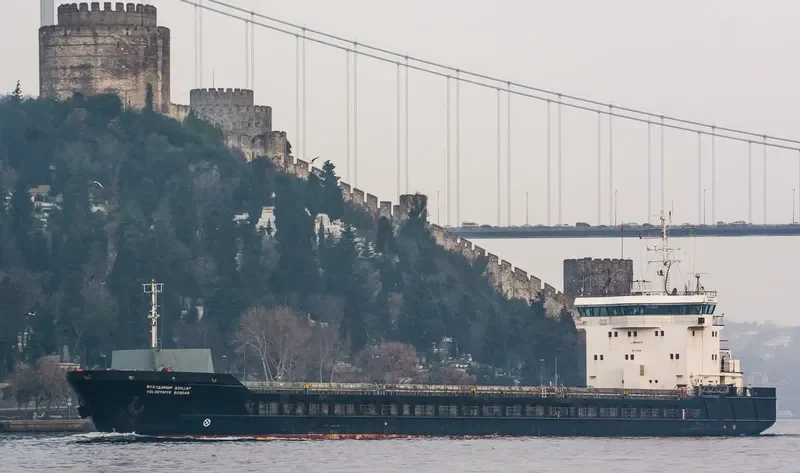 GOLDEN LION General Cargo IMO 9363974 photo 3